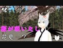 【桜の季節】烏丸ゆんのお花見…？【VTuber】