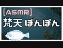 【ASMR・男声】梵天でぽんぽん