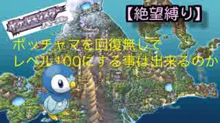 もしも回復なしでレベルを100にしようとしたら～ポッチャマ編～