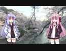 ひっそり歌う『Still...』