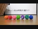 チュン太の好きな色当てクイズ