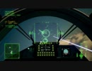 Ace Combat 7 Multiplayer22  バトルロイヤル  Su-57 + PLSL