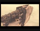 【実況】鼻声の勇者が行く!!ゼルダの伝説スカイウォードソードpart66-2