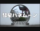 【深山かい】 彗星ハネムーン 踊ってみた