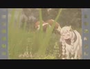 【VOICEROID実況】新年度を草で祝う紲星あかり【Grass_Simulator】