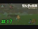 【実況】見落としが多い勇者の冒険part17【ブレスオブザワイルド】