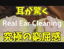【ASMR】ずももも感が強い奥行き耳かき【音フェチ】