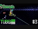 【Terraria】テラサバ企画　参加動画　その３【TUBG】