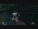 【プレイ動画】SEKIRO SHADOWS DIE TWICE Part12
