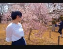 【なみかり誕2019】リバースユニバース【季樹】