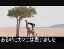 ヒカマニ、ピーチを探す編【駅のホームですっぱんぱん！】