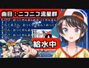 平成最後にニコニコ流星群を歌う大空スバル