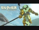 FPS視点でライネル討伐