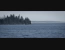 POD.2015.