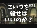 【Skyrim】嫌なババアと良いババア-前世の罪を祓う#21【実況】