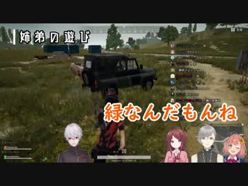 【にじさんじ】姉弟喧嘩勃発！ぐだぐだPUBG２日目【シリンソウ】