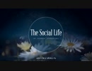 The Social Life in Paradise