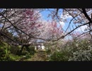 【生海月】なまくらじお【2019.4.3】