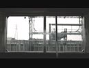 メリーバッド 歌ってみた【NaO】