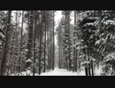 Snow-motion　中島咲樹