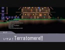 厄災(Calamity)かけますね.terraria15