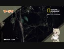 【けものフレンズ２】動物紹介まとめ［１〜１２話］