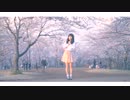 【凛(りん)】ハルイチ。踊ってみた