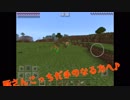 【マインクラフト】特殊能力！世界を一周  【実況  カーリーとブラッドの冒険 #3】