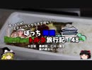 【ゆっくり】韓国トルコ旅行記　48　最終回　関西空港へ