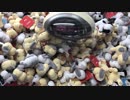 【UFOキャッチャー】100円で巨大なぬいぐるみ落とせます！