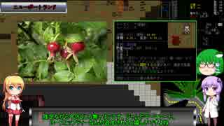 『ゆっくり実況』安定を目指すCataClysm:DDA 復興編 パート6