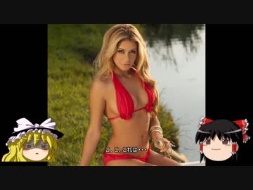 野良猫ウクライナを行く。巻の壱（ウクライナへ行こう）