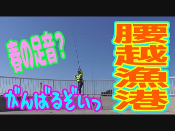 釣り動画ロマンを求めて 241釣目（腰越漁港）