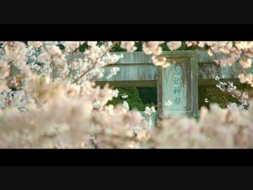 そうだ！神社に行こう #09 菊池神社(春)