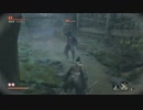 【実況】トロコンまでやるSEKIRO　Part.17