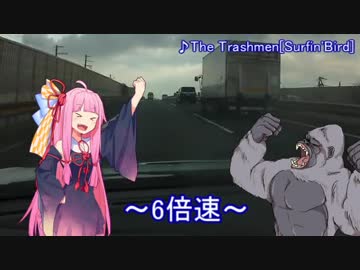 〔Voiceroid〕琴葉麺屋探訪～男のらぁめんちぇりー亭～〔車載〕Part2