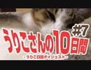 うりこさんの10日間 - 2019#7
