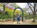 【羽音】 朝礼体操【踊ってみた】