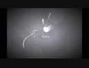 【初音ミク】Echo【オリジナル曲】