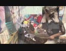 tig-hugを叩いてみた＊三木沙苗