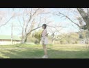 【七星茉莉】ハルイチ。踊ってみた【春だよ】