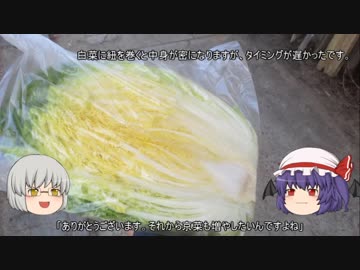 ゆっくり農民103畑を乗っ取ってみませんか?#4