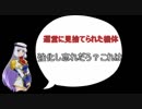 ガンダムオンライン、ゾックの現状