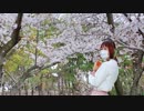 【20歳！】むかしむかしのきょうのぼく　踊ってみた【*凛*】