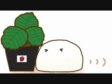 だいふくさんといちごさんとおれ。【観察実況】