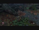 【SEKIRO：隻狼】火薬庫のちょび髭による忍日誌Part9【探索：仙峯寺】