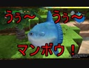 【ドラクエビルダーズ2】遅れてやってきた釣り師マァさん！水族館パックゲットだぜ！【DQB2】#17
