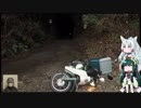 【ずんタコ車載】初心者の癖にカブで隧道制覇 6本目