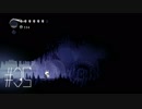 【第３５夜】眠れぬ夜のHOLLOW KNIGHT【実況】