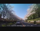 【ドラレコ】でゆく筑波農林研究団地「農林さくら通り」